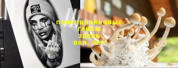 mix Инта