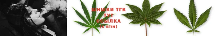 mix Инта