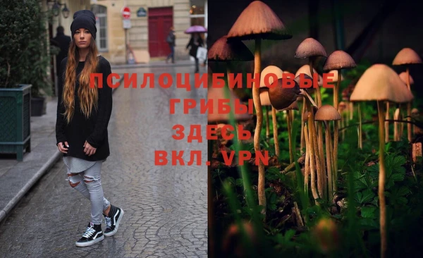 MDMA Инсар