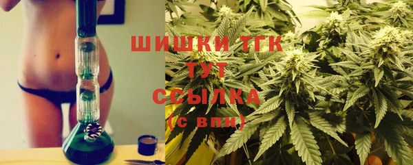 mix Инта