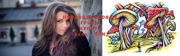 mix Инта