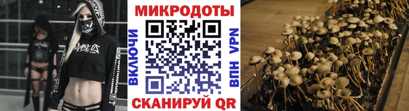 Купить где  Псков  Псилоцибиновые грибы ЛСД 